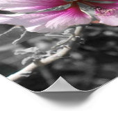 Schwarz-Weiß-Pink-Hibiskus-Poster Poster (Ecke)