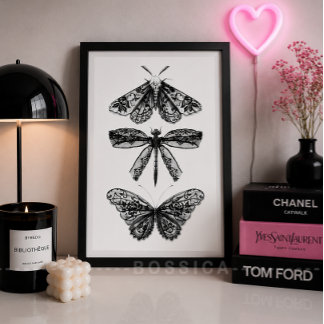 Schwarz-Weiß-Plakat Schmetterling Libelle & Nachtf Poster