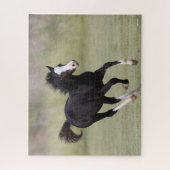 Schwarz-Weiß-Pony Foal läuft Puzzle (Vertikal)