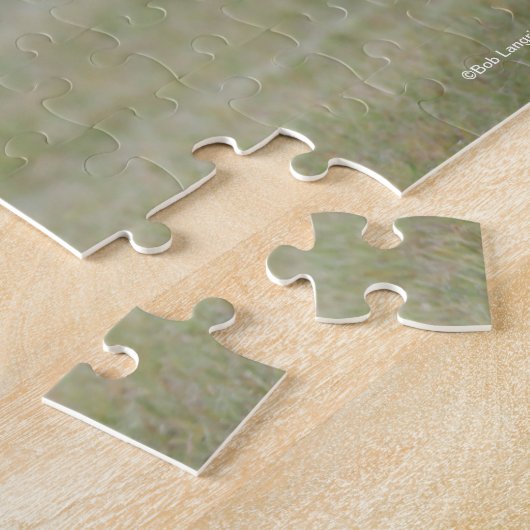 Schwarz-Weiß-Pony Foal läuft Puzzle (Seite)