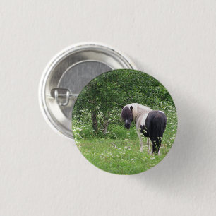 Schwarz-Weiß-Pony in Gras und Blume Button