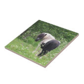 Schwarz-Weiß-Pony in Gras und Blume Fliese (Seite)