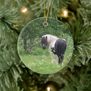 Schwarz-Weiß-Pony in Gras und Blume Keramik Ornament