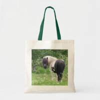 Schwarz-Weiß-Pony in Gras und Blume
