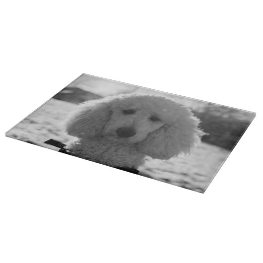 Schwarz-Weiß-Poodle-Gesichter Welpen Schneidebrett (Ecke)