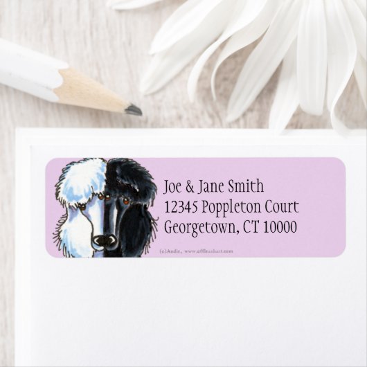 Schwarz-Weiß-Poodles (Insitu)