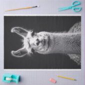 Schwarz-Weiß-Portrait Decoupage Seidenpapier (Basteln)