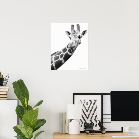 Schwarz-Weiß-Portrait einer Giraffe Poster (Heimbüro)