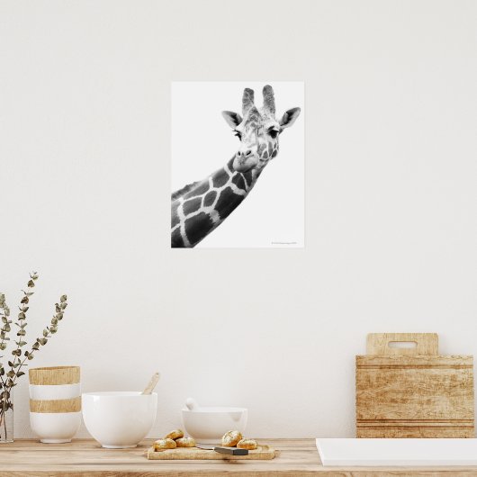 Schwarz-Weiß-Portrait einer Giraffe Poster (Küche)