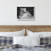 Schwarz-Weiß-Portrait Japanischer Spitz Leinwanddruck (Insitu (Schlafzimmer))