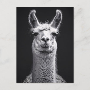Schwarz-Weiß-Portrait Postkarte