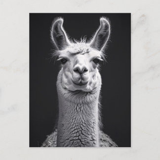 Schwarz-Weiß-Portrait Postkarte