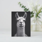 Schwarz-Weiß-Portrait Postkarte (Stehend Vorderseite)