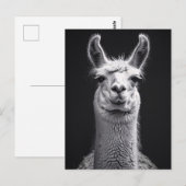 Schwarz-Weiß-Portrait Postkarte (Vorne/Hinten)
