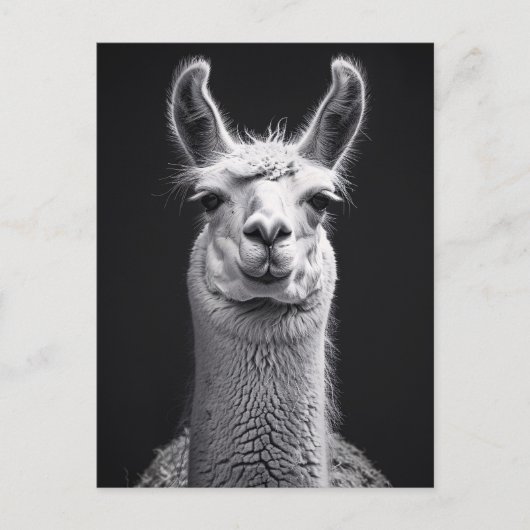 Schwarz-Weiß-Portrait Postkarte (Vorderseite)