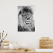Schwarz-Weiß-Porträt des Löwen Poster (Küche)