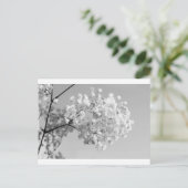 Schwarz/Weiß Postkarte (Stehend Vorderseite)