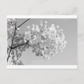 Schwarz/Weiß Postkarte (Vorderseite)