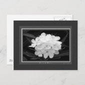 Schwarz/Weiß Postkarte (Vorne/Hinten)