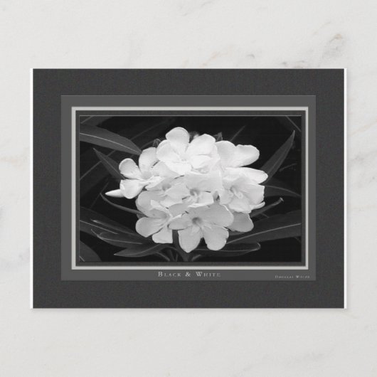 Schwarz/Weiß Postkarte (Vorderseite)