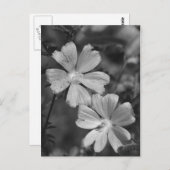 Schwarz/Weiß Postkarte (Vorne/Hinten)