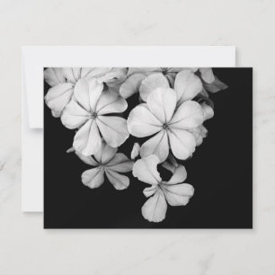 Schwarz-Weiß-Postkarte Einladung