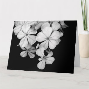 Schwarz-Weiß-Postkarte Karte