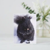 Schwarz-Weiß-Postkarte Postkarte (Stehend Vorderseite)