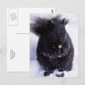 Schwarz-Weiß-Postkarte Postkarte (Vorne/Hinten)
