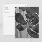 Schwarz-Weiß-Postkarte Postkarte (Vorne/Hinten)