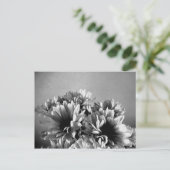 Schwarz-Weiß-Postkarte Postkarte (Stehend Vorderseite)