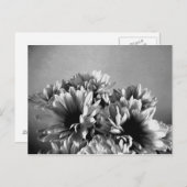 Schwarz-Weiß-Postkarte Postkarte (Vorne/Hinten)