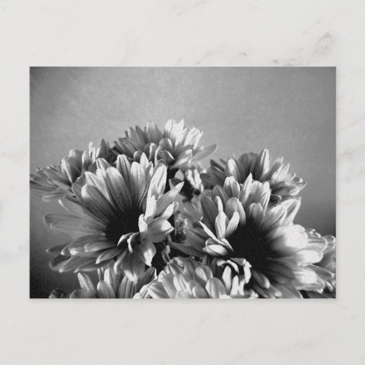 Schwarz-Weiß-Postkarte Postkarte (Vorderseite)