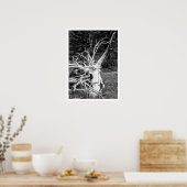 Schwarz-Weiß-Print, Dead Tree Poster (Küche)