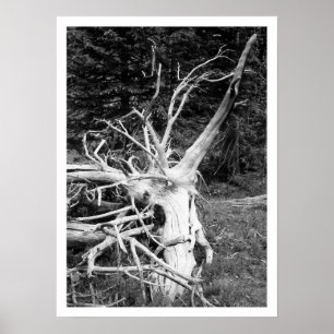 Schwarz-Weiß-Print, Dead Tree Poster