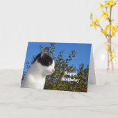 Schwarz-Weiß-Profil Foto Geburtstag Karte (Gelbe Blume)