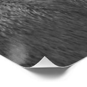 Schwarz-Weiß-Pup Poster (Ecke)