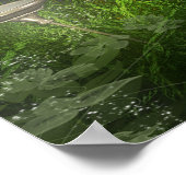 Schwarz-Weiß-Rahmen Overo Paint Horse Poster (Ecke)