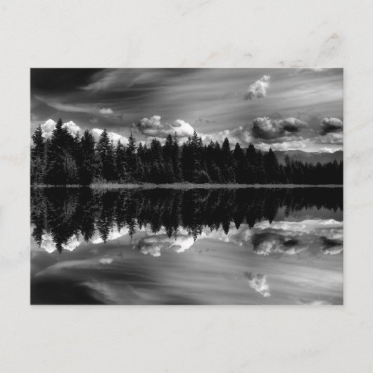 Schwarz-Weiß-Reflektionen Postkarte (Vorderseite)