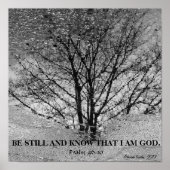 Schwarz-Weiß-Reflexion Poster (Vorne)