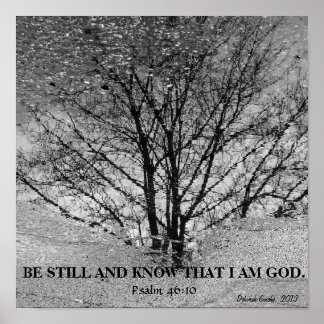 Schwarz-Weiß-Reflexion Poster