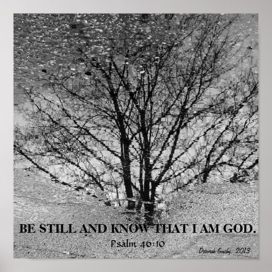 Schwarz-Weiß-Reflexion Poster (Vorne)