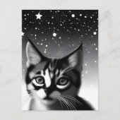 Schwarz-Weiß-Retro-Stars Kitten Postkarte (Vorderseite)
