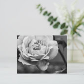 Schwarz-Weiß-Romantische Rose Postkarte (Stehend Vorderseite)