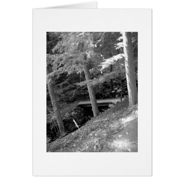 Schwarz-Weiß-Root-Glühkarte (Vorne)