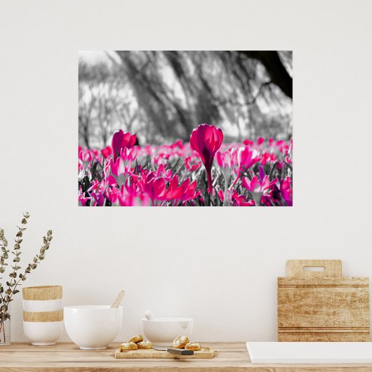 Schwarz-weiß-Rosa-Blume Monochrome Poster (Küche)