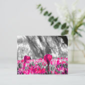 Schwarz-weiß-Rosa-Blume Monochrome Postkarte (Stehend Vorderseite)