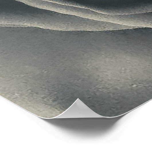 Schwarz-Weiß-Rose Poster (Ecke)