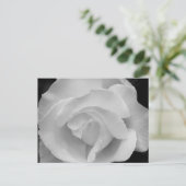 Schwarz-Weiß-Rose Postkarte (Stehend Vorderseite)