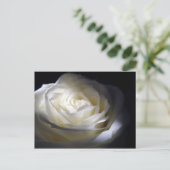 Schwarz-Weiß-Rose Postkarte (Stehend Vorderseite)